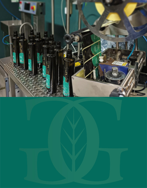 olio san mauro forte frantoio grassano